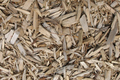 biomass boilers Langal